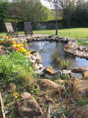 Pond- click for photo gallery